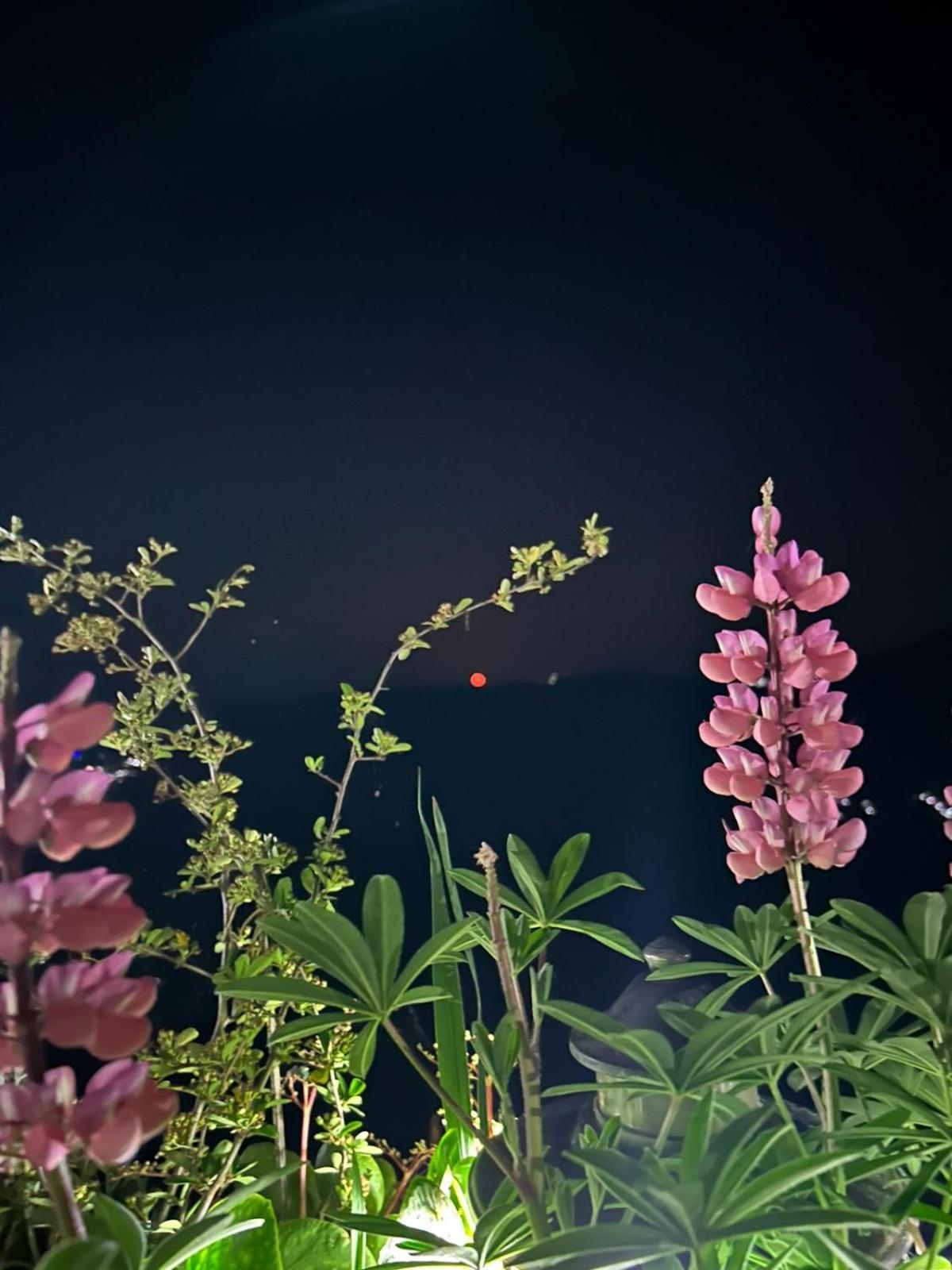Murmincho Homestay Darjeeling  Exterior photo